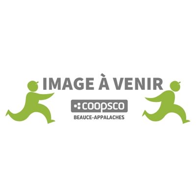 TOME 2-PRINCIPE DE PHYSIOPATHOLOGIE EN SPU (ÉDITION 2026)